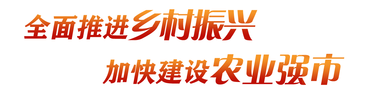 全面推進鄉(xiāng)村振興 加快建設農(nóng)業(yè)強市